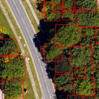 XCAM JOINS CONSORTIUM FOR MONITORING TREES FROM SPACE